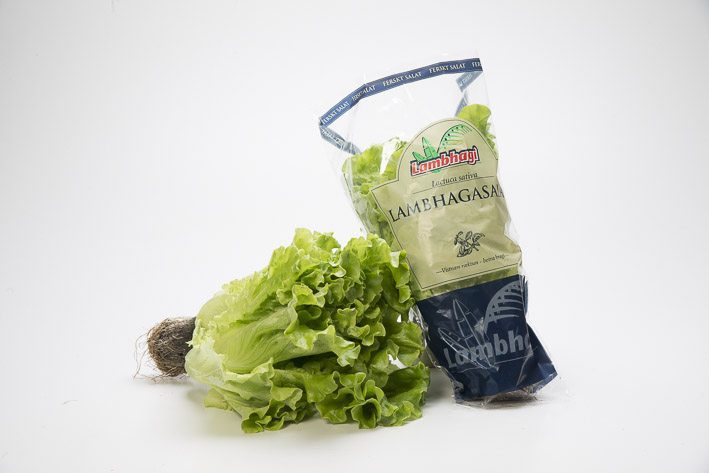 Lambhagasalatblanda 125g (20)