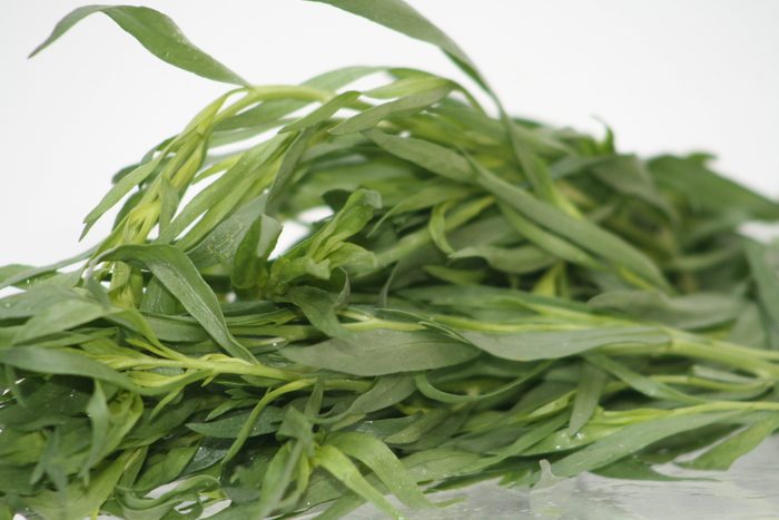 Estragon/Fáfnisgras 1kg