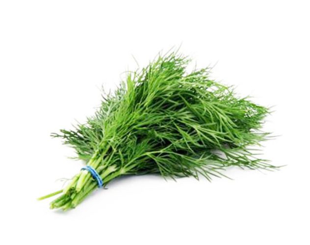 Dill erl. 50g