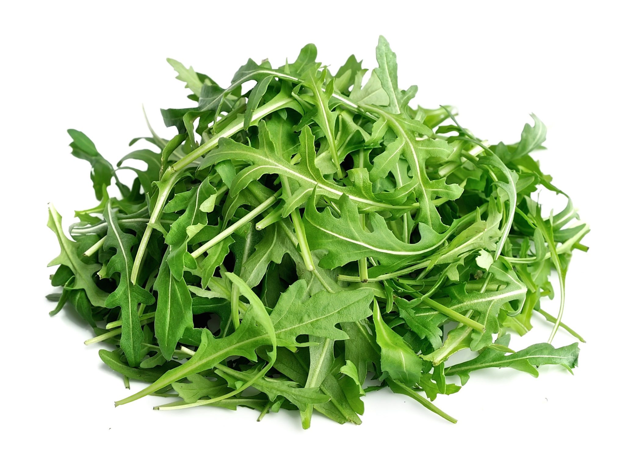 Klettasalat 1kg